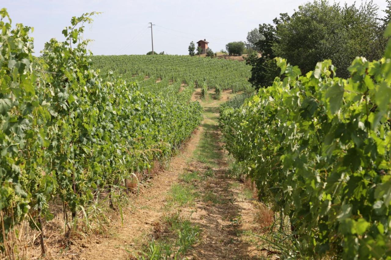 Braida Wine Resort Rocchetta Tanaro Extérieur photo